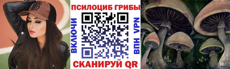 Псилоцибиновые грибы MAGIC MUSHROOMS магазин продажи наркотиков Шиханы
